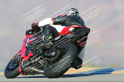 media/Jan-13-2024-SoCal Trackdays (Sat) [[9c032fe5aa]]/Turn 9 Backside (110pm)/
